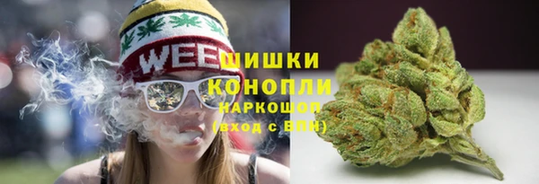 spice Бугульма