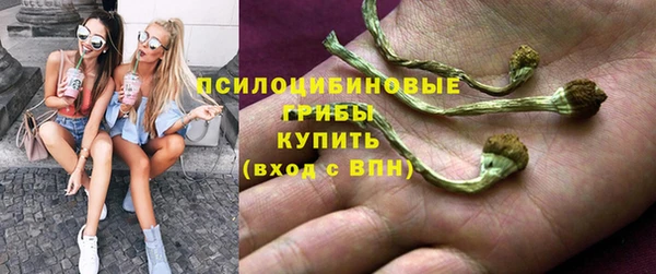 spice Бугульма