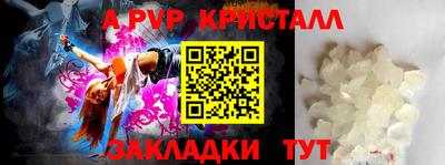 ECSTASY Аргун