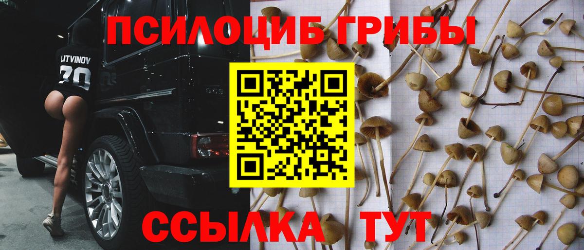 Псилоцибиновые грибы ЛСД  Вход с VPN  Воскресенск 
